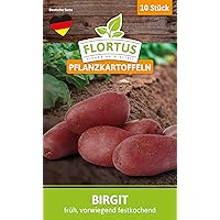 FLORTUS 2000-0397 Pflanzkartoffeln Birgit 10 Stück I Festkochend, früh I Saatkartoffeln pflanzen & anbauen I Kartoffel…