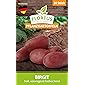 FLORTUS 2000-0397 Pflanzkartoffeln Birgit 10 Stück I Festkochend, früh I Saatkartoffeln pflanzen & anbauen I Kartoffel…