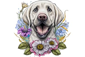 HKLIOPU Cross Stitch Kits for Adults-Magic Badge,11CT Printed Cross Stitch Kits,Stamped Embroidery Kits for Adults Wall Art Home Decoration 16x20 Inch (LZ080)