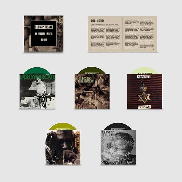 Adrian Sherwood Presents: Dub No Frontiers [VINYL]: Amazon.co.uk