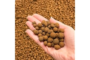 bhomescent Clay Pebbles for hydroponics (1L)