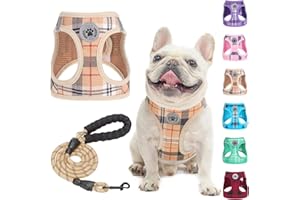 BEAUTYZOO Small Dog Harness and Leash Set,Step in No Choke No Pull Soft Mesh Dog Harnesses Reflective for Extra-Small/Small Medium Puppy Dogs and Cats, Plaid Dog Vest Harness for XS S Pets, Beige M