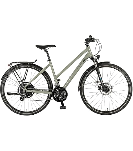 Prophete ENTDECKER 5.0 Herren Trekking E-Bike Sport & Freizeit