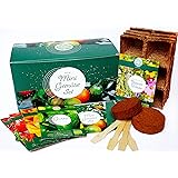 Bio Mini Gemüse Anzuchtset - 4 Sorten Bio Balkon Gemüse Samen. Perfektes Gemüseset für Topf, Fensterbank und Balkon. Geschenk