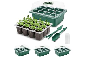 VDYXEW Mini Gewächshaus - für bis zu 12 Pflanzen Je Zimmergewächshaus, Zimmergewächshaus Anzuchtkasten Mini Gewächshaus ，Grün/Transparent (3 Stücke)