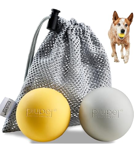 Frisbee Per Cani PiuPet - Set Di 2 Dischi Morbidi In Gomma Naturale, Diametro 22cm, Colorati E Resistenti, Ideali Per Giochi All'Aperto - Foto 8