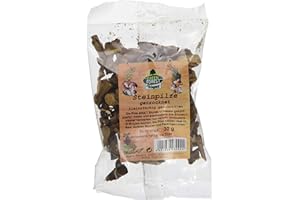 WAGNER GEWÜRZE Wagner Green Forest getrocknete Steinpilze kleinstückig geschnitten, 30 g