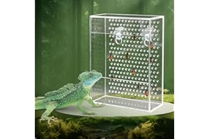 DNOIFNE Bearded Dragon Feeder, Chameleon Bug Bowl, Transparentk Acrylic Reptile Feeder Box, Wall-Mounted Insect Feeder with Suction Cups, Tank and Aquarium Accessories for Lizard Bearded Dragon Gecko Frog