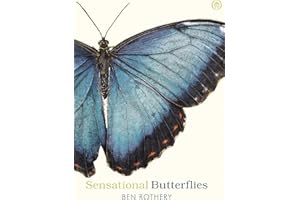 Sensational Butterflies: A journey into the enchanting and vibrant world of butterflies