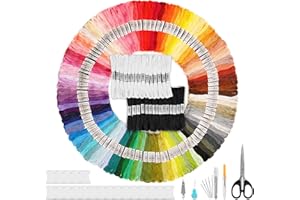 Estcoo 179pcs Kit à Broder, 100 Couleurs Embroidery Floss + 30 Fils Noir & Blanc + Accessoires d'Outils, 8M & 6 Brins Bracelet Brésiliens, Embroidery Thread for Friendship Bracelet