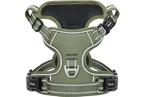 HEELE Arnés para Perro, arnés Anti tracción Reflectante, arnés para Perro pequeño Mediano con asa Acolchada, 1 Hebilla en la Correa Recta del Cuello, fácil de Poner y Quitar, Verde, S