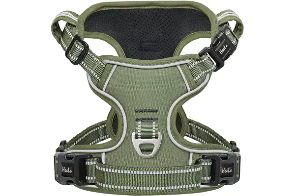 HEELE Arnés para Perro, arnés Anti tracción Reflectante, arnés para Perro Mediano Grande con asa Acolchada, 1 Hebilla en la Correa Recta del Cuello, fácil de Poner y Quitar, Verde, M
