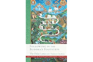 Following in the Buddha's Footsteps (Volume 4): The Library of Wisdom and Compassion. Volume 4