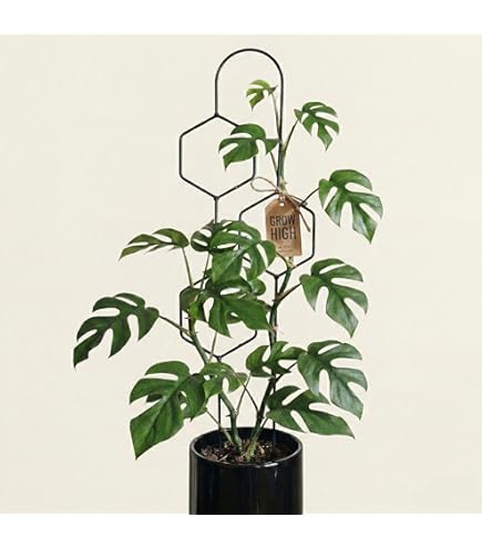Monstera Mosstok - 120 cm flexibele plantensteun voor binnen, handgemaakte kokosvezel stok klimhulp, ondersteuning voor klimplant om omhoog te groeien