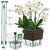 Pau's Shop Pack of 2 Self-Watering Orchid Pots &ndash; Natural Orchid Pots with Holding Rods &ndash; Decorative Pots for Indoor and Outdo