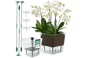 PAU'S SHOP Pack de 2 Maceta Orquídea con Sistema Autorriego – Maceta Grande (10 x 15 cm) y Pequeña (7.5 x 11 cm) – Macetas Decorativas Interior - Macetero orquídeas Transparente Macetas Plástico