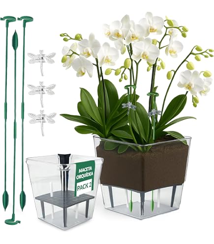 Vaso Porta Orchidea Coubi Trasparente 2,4L - Coprivaso In Plastica Resistente UV 16x18,5 Cm