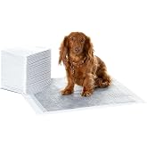 Amazon Basics Dog Puppy Training Pads, Charcoal Odor Control Pads, Leak Proof with Quick Dry Surface, Normal (40 Count, Grey)