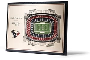 YouTheFan NFL unisex NFL 5-Layer StadiumView 3D Wall Art