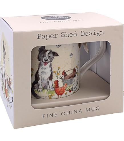 Carson The Chow, Akita, Husky, Border Collie Mix - View #6