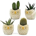 Nattol Set Di 2 Vasi In Ceramica A Forma Di Gufo – Turchese, Con Foro Di Drenaggio – Per Piante Grasse, Cactus, Fiori – Decorazione Casa - 2