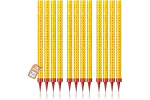 ‎H2I h2i Eissterne | 12 Stück | 120 Sek. Brenndauer | Eisfontäne, Sprühkerze, Wunderkerze - Highlight für Events, Party, Hochzeit, Geburtstag | Tischfeuerwerk & Deko für Flaschen & Torten | Kat F1