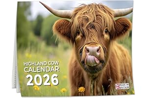 CRAZY LITTLE THINGS 2026 Calendar, Highland Cow Wall Calendar UK, A3 Month-to-View (Jan 2026 – Dec 2026), Eco-Friendly, A3 Size When Open, Made in the UK