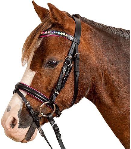 STAR Trensenzaum Diamond - AGRI-Service Walluch