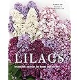 Lilacs
