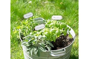 ‎UMOI 14 Kräuterstecker: Basilikum, Pfefferminze, Petersilie, Bärlauch, Koriander, Rosmarin, Schnittlauch, Majoran, Melisse, Bohnenkraut, Kresse, Salbei, Estragon, Oregano - Pflanzenschilder draußen (Braun)