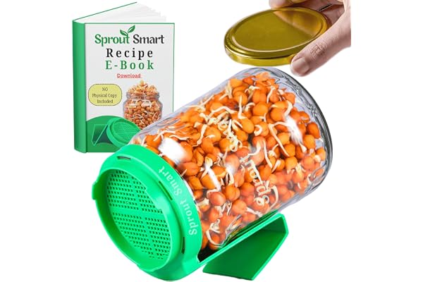 Sprouts Maker Glass Jar 720ml Durable & Reusable Sprouter for All Seeds and Beans, BPA-Free with 300-Hole Mesh Lid for Airflow, Odor-Free, Easy Drainage, and Hygienic Glass Design Green