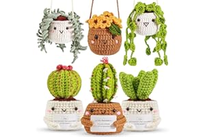 ASTNIC Kit de crochet para principiantes, 6 Piezas de Plantas Colgantes en Maceta y Suculentas con Tutoriales en Video Paso a Pas, Kit Completo Crochet DIY y Tejido a Mano Manualidades