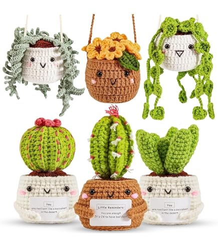 Kit Crochet Débutants - 6 Plantes Suspendues - Inclus Crochet, Fil Et Instructions - DIY Cactus Et Succulentes