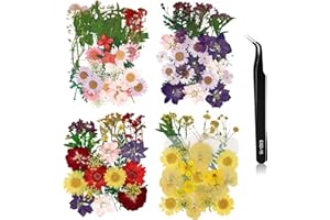 EEEKIT 132 Pezzi di Fiori Secchi veri Pressati Fiori Secchi Naturali Fiori di Margherita di Crisantemo Pressati Misti con Pinzette per Candele in Resina Gioielli Manicure