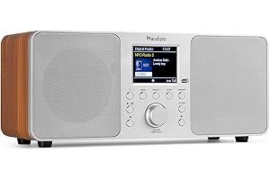 Audizio Genua DAB Radio con Bluetooth – Stereo DAB Plus Radio con telecomando, 60 slot di memoria, Auto Scan, Line-Out, USB, ideale per casa e in viaggio, facile da usare – Argento