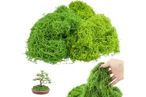 SZSIQI 200g Musgo Artificial Decoracion, Artificial Simulación Césped, Musgo Falso para Decoración de Manualidades, Decorar Hogar, Acuario Planta(100 g Verde Oscuro + 100 g Verde Claro)