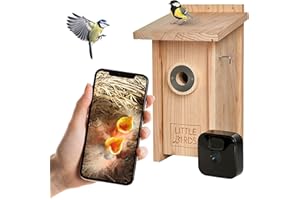 GENERISCH Little Birds Kamera Nistkasten für „Blink“ Kamera (Kamera Nicht ENTHALTEN) I ökologisches Massivholz I Katzen- und Spechtschutz I Brutkasten I Kamera Vogelhaus I Kein Strom/Kabel nötig