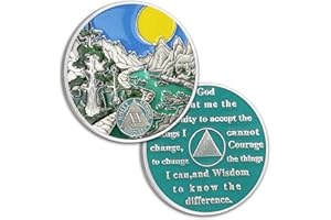 ATSKNSK 20 Years Sobriety Coin Valley River Sobriety Chip Sun Chips Medallion AA Chips and Medallion Alcoholics Anonymous Coins Sobriety Gifts for Men Women Recovery Gift Sober Anniversary Token