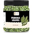 Organic Nature Dry Mint Leaves Sukha Pudina Patti pudhina leaves (Jar Pack) (50 Grams (Pack of 1 of 50 Grams))