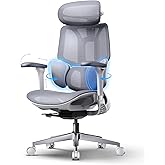 Hbada E3 Air 2026 Edition Silla Ergon&oacute;mica Oficina con Soporte Lumbar 3 Zonas, Reposacabezas y Brazos 4D, Ajuste Autom&aacute;tico d