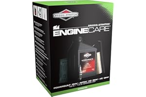 Briggs and Stratton 992236 Kit de Mantenimiento del Motor de Briggs & Stratton Powerbuilt, Intek, I/C OHV 10,5 a 13,5 de Potencia Bruta, 0 W, 0 V