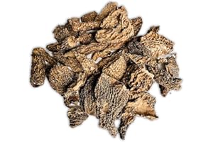 ‎DR. ANA COLLECTION Dr. Ana Collection - getrocknete Spitzmorcheln Bruch - gebrochene Köpfe ohne Füße (100g) | Premium-Qualität | handverlesen | aus europäischer Wildsammlung | ohne Zusatzstoffe -100% naturbelassen