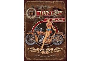 CHINLY Harley Davidson Heritage Panneaux muraux en étain Vintage Peinture sur Fer Art rétro Avertissement Plaque de métal décor pour Road Home Store Café Bar