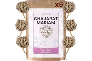 VIRHEA Rosa di Gerico X6, Chajarat Mariam - Taglia S (piccola) - Pianta che favorisce la fertilità - Anastatica Hierochuntica [soddisfatti o rimborsati]