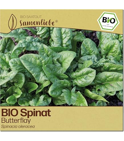 dinkel saatgut preis Dinkel Bio-Saat, 1 kg  Eschenfelder