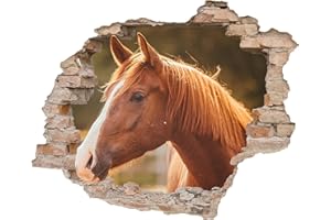 Little Deco 3D Wandsticker Wandtattoo Kinderzimmer Pferd Wanddeko Spielzimmer Wandbild Loch in der Wand Schlafzimmer Wandaufkleber Mädchen Kleinkind DL639-2