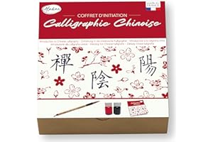 Aladine - Kit d’Initiation à la Calligraphie Chinoise - Pinceau, 2 Encres & Cahier d’Écriture - Apprentissage Idéogrammes Caractères Chinois - Adulte & Enfant - Loisirs Créatifs - 85517
