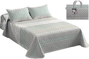 PAULA HOME TEXTIL HOGAR Y DECORACION Tolrá - Colcha Cubrecama Bouti Estampada para Primavera y Verano | Incluye Funda de Cojín 50x70cm | 100% Microfibra Muy Suave (Aster Aqua, Cama 150-160cm con 2 Fundas Cojín)