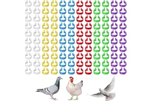 OHYER 120 Pièces Anneaux de Cuisse de Poulet Anneaux de Pied de Pigeon Anneaux de Jambe de Volaille Bandes d'Identification de Poulet pour La Volaille Oiseau Perroquet Caille (6 Couleurs, 16 mm)