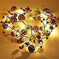 Funpeny Christmas PineCones String Lights, 6.56Ft 20 LED Pine Needles Red Berries Fall Light Garland, Indoor Outdoor Decor for Thanksgiving Christmas Autumn Themed Party